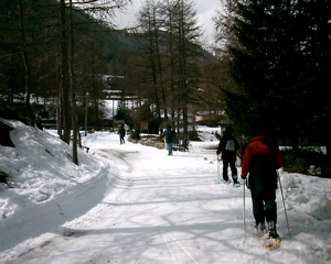 IMAG0166.JPG