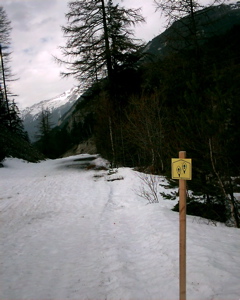IMAG0170.JPG