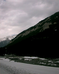 IMAG0171.JPG