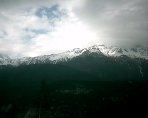 IMAG0179.JPG