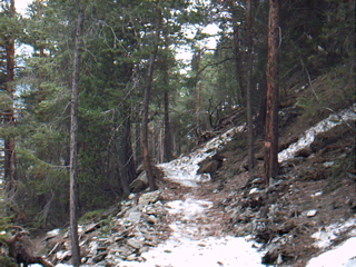 IMAG0011.JPG