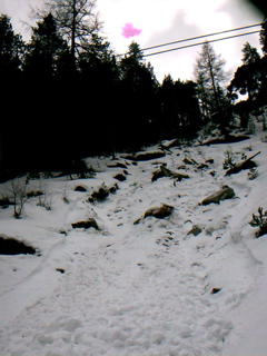 IMAG0024.JPG