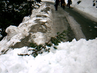 IMAG0025.JPG