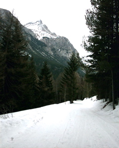 IMAG0030.JPG