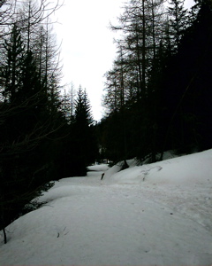 IMAG0046.JPG