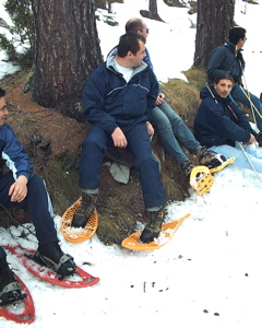 IMAG0047.JPG