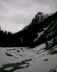 IMAG0049.JPG