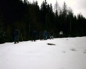 IMAG0050.JPG