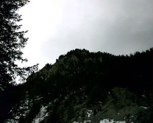 IMAG0051.JPG