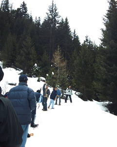 IMAG0054.JPG