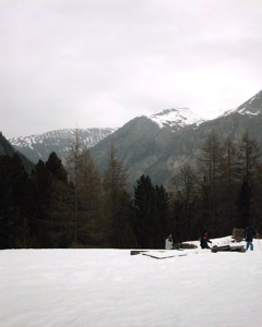 IMAG0059.JPG