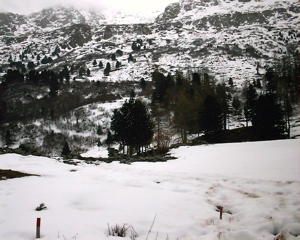 IMAG0061.JPG