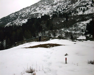 IMAG0062.JPG