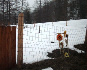 IMAG0076.JPG